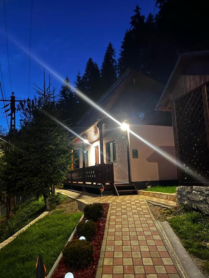 בורסק Casa De Vacanta Chesa מראה חיצוני תמונה